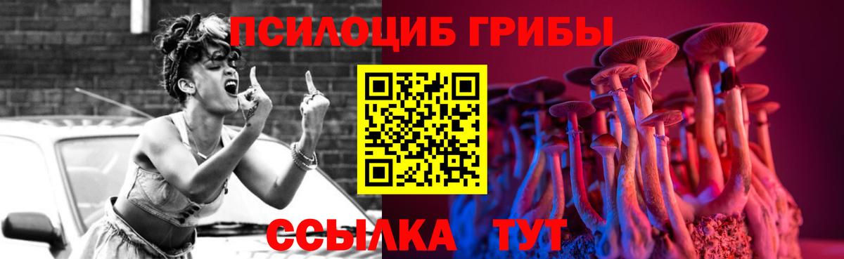 Псилоцибиновые грибы Psilocybine cubensis  Вход с VPN  Приморско-Ахтарск 